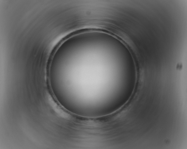 X0000114180980200910081455