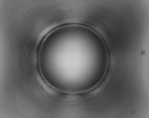 X0000114180981200910081455