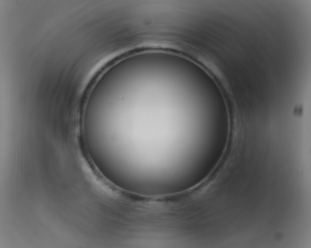 X0000114180984200910081455