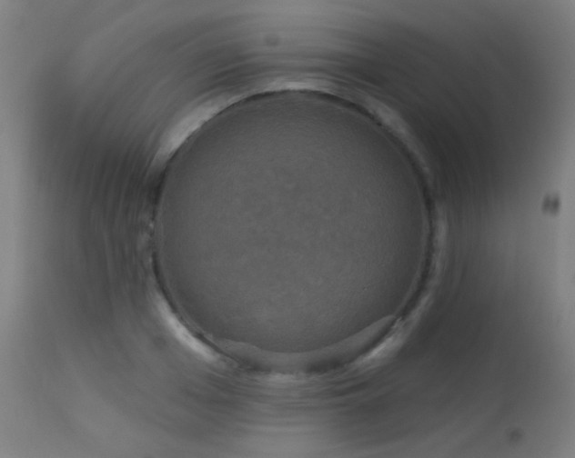 X0000114180985200910081455