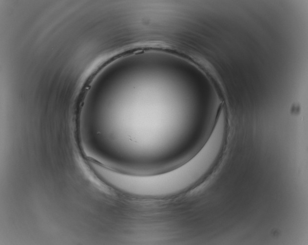 X0000114180989200910081455