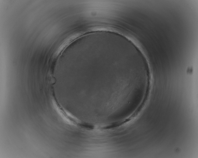 X0000114180993200910081455