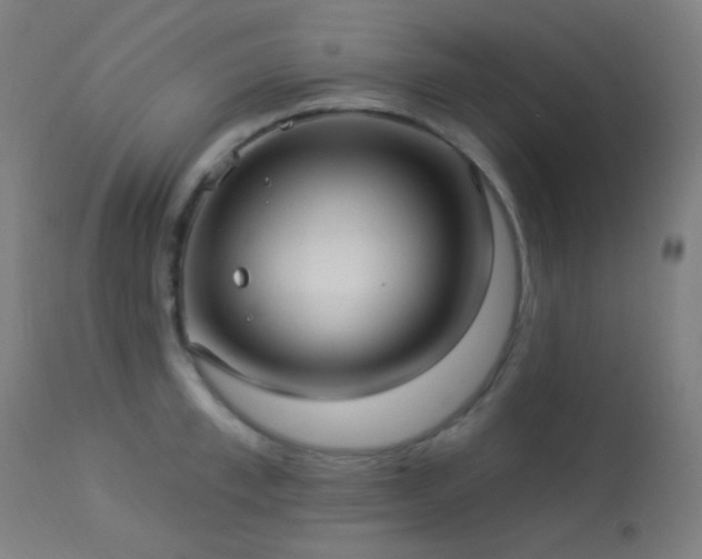 X0000114180997200910081455
