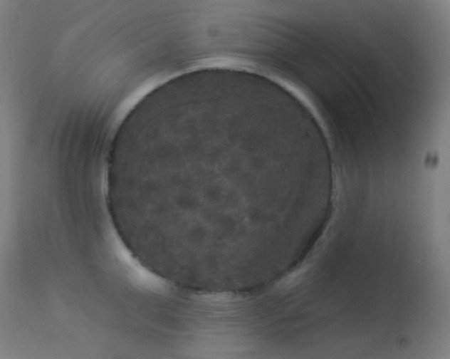 X0000114180999200910081455