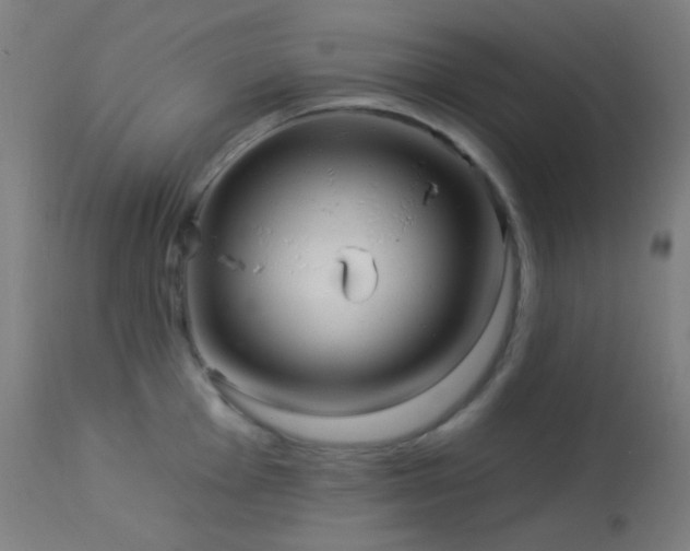 X0000114181001200910081455