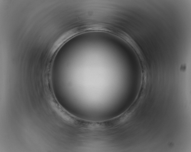 X0000114181002200910081455