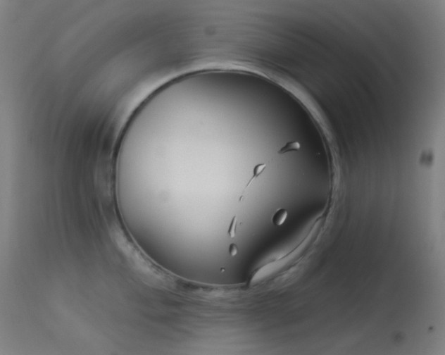 X0000114181004200910081455