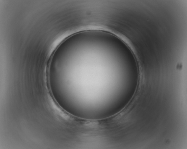 X0000114181006200910081455