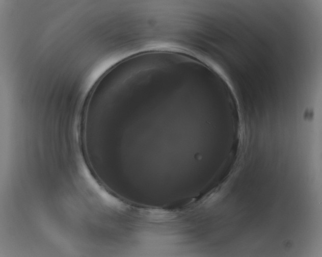 X0000114181007200910081455