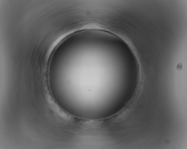 X0000114181008200910081455