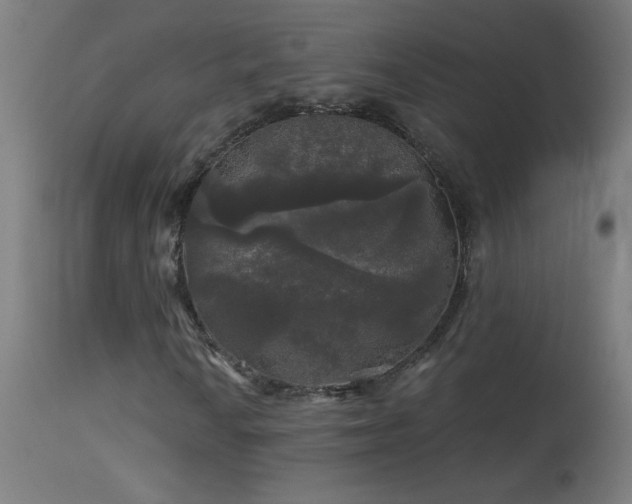 X0000114181010200910081454
