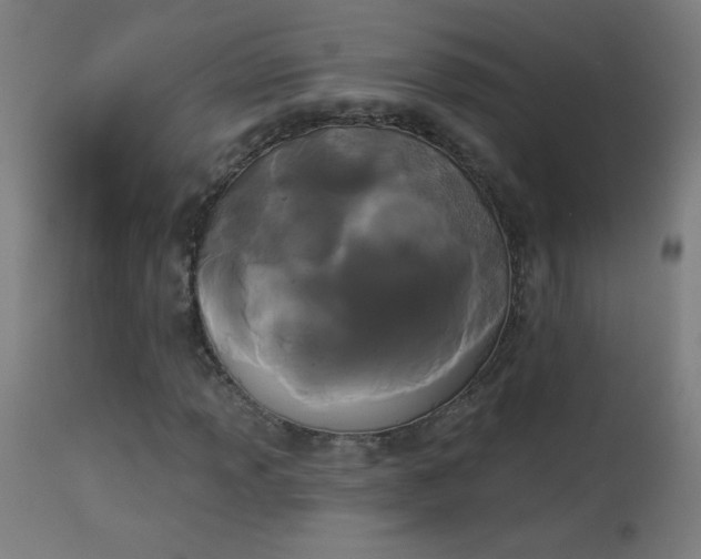X0000114181013200910081454