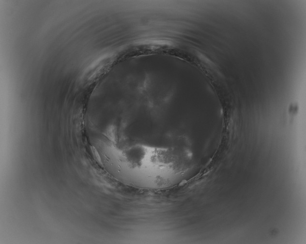 X0000114181014200910081454