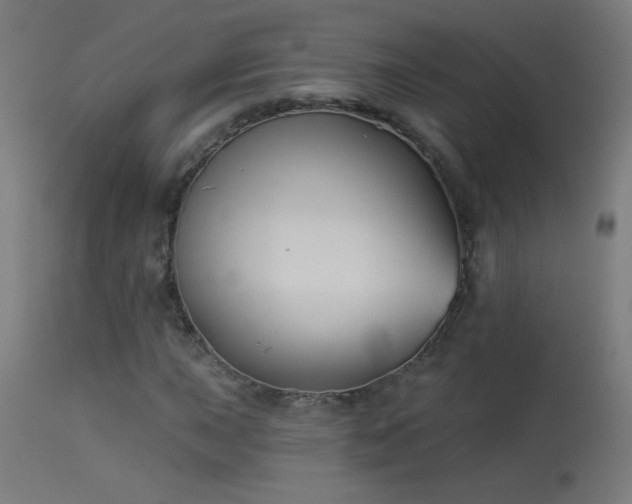 X0000114181015200910081454