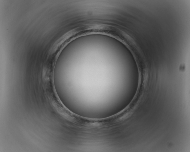 X0000114181017200910081454