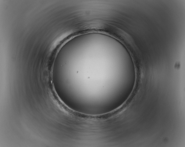 X0000114181018200910081454