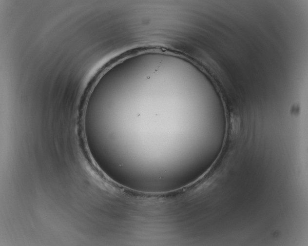 X0000114181020200910081454