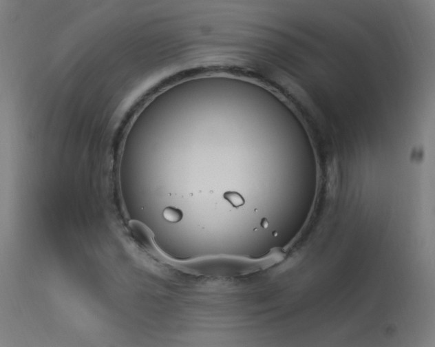 X0000114181021200910081454