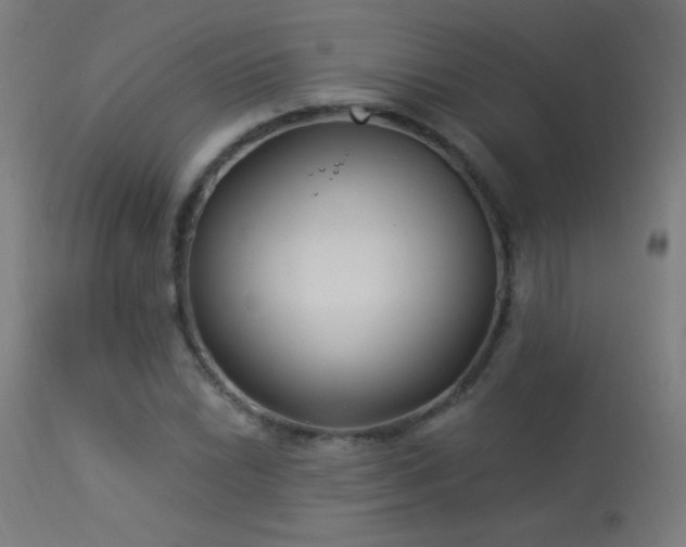 X0000114181022200910081454