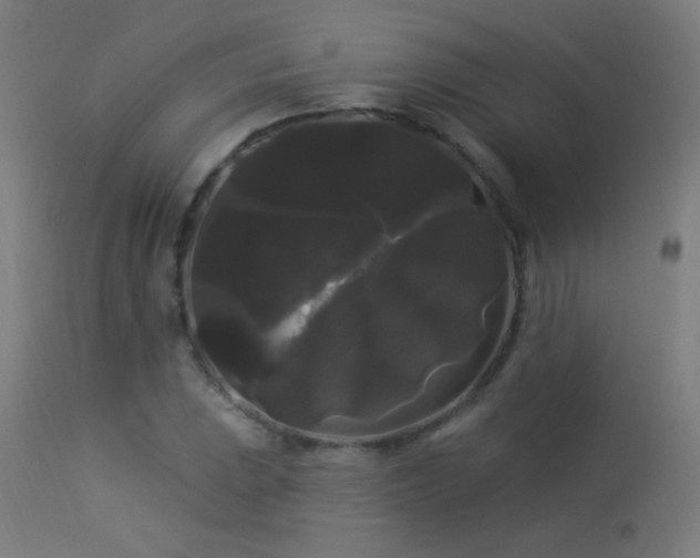 X0000114181023200910081454