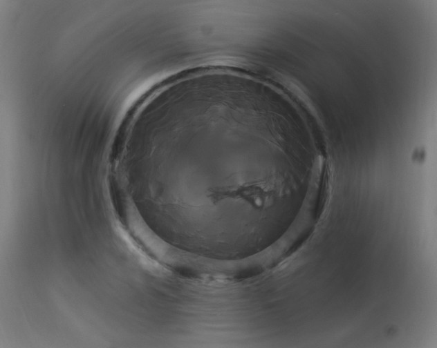X0000114181024200910081454