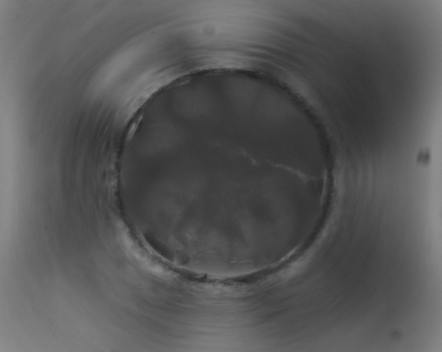 X0000114181025200910081454