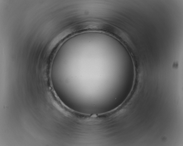 X0000114181026200910081454