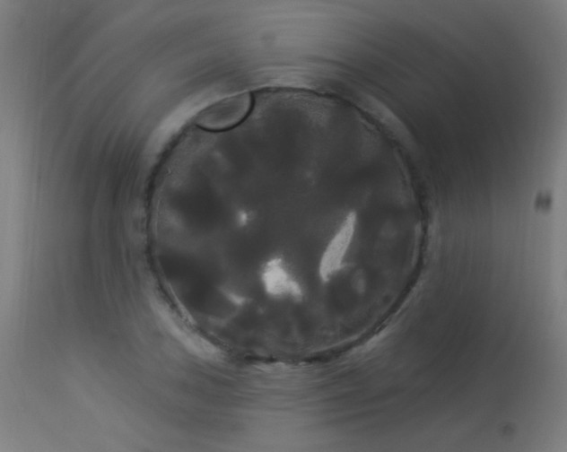 X0000114181027200910081454