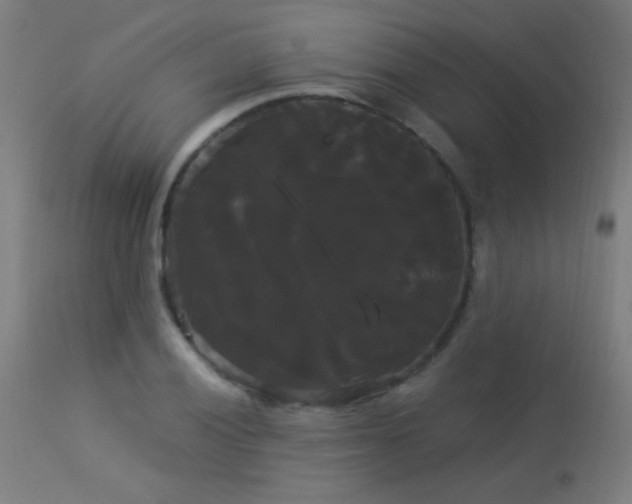 X0000114181028200910081454