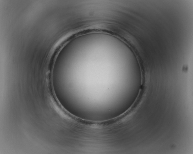 X0000114181029200910081454