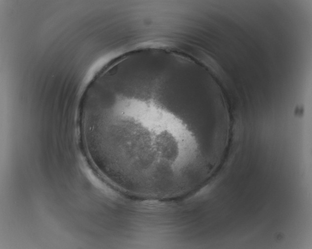 X0000114181030200910081454