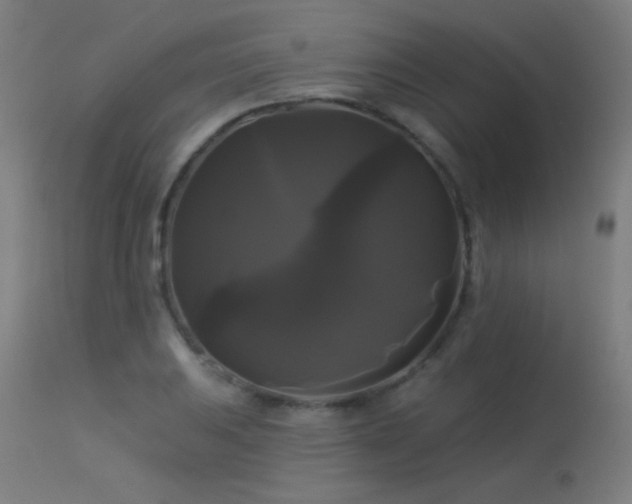 X0000114181031200910081454