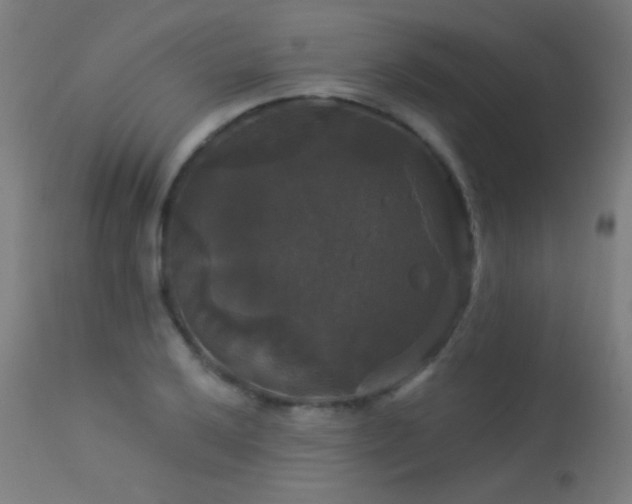 X0000114181032200910081454