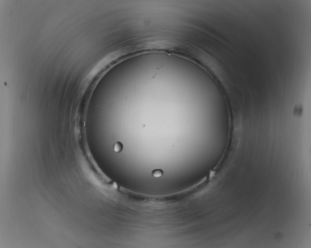 X0000114181034200910081454
