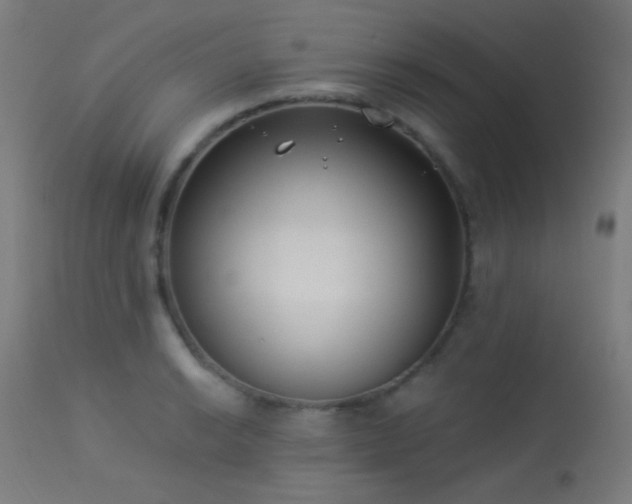 X0000114181038200910081454
