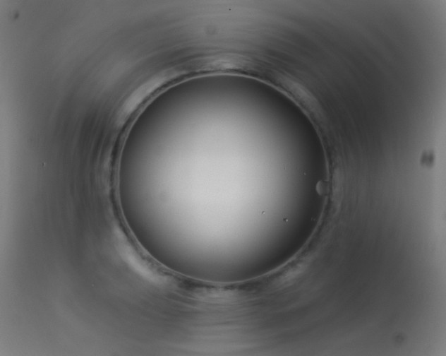 X0000114181039200910081454