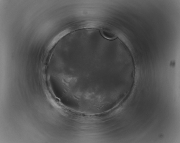 X0000114181042200910081454