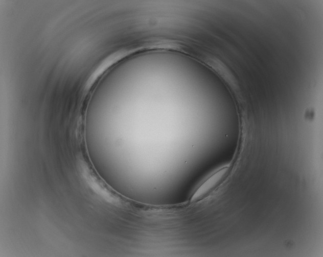 X0000114181044200910081454