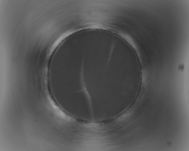 X0000114181048200910081454