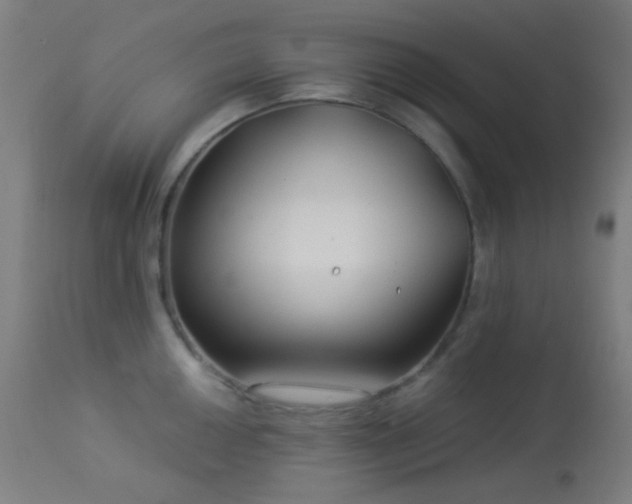 X0000114181050200910081454