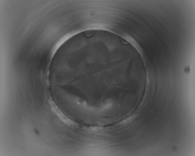 X0000114181052200910081455