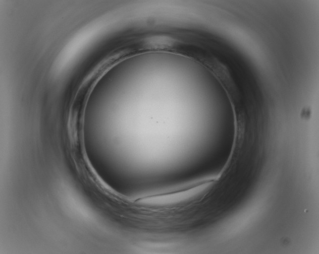X0000114181054200910081455