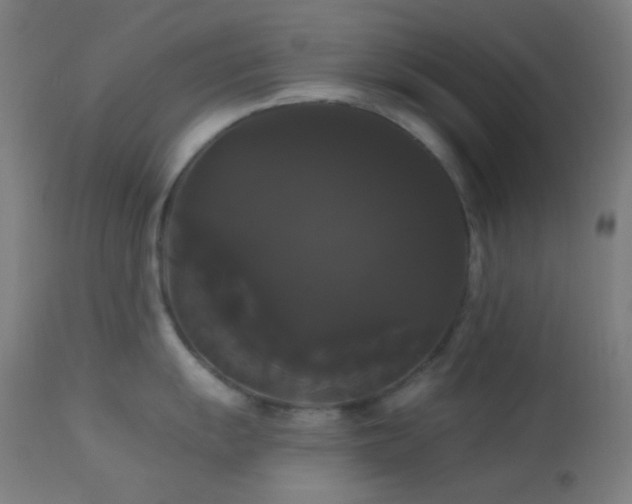 X0000114181055200910081455