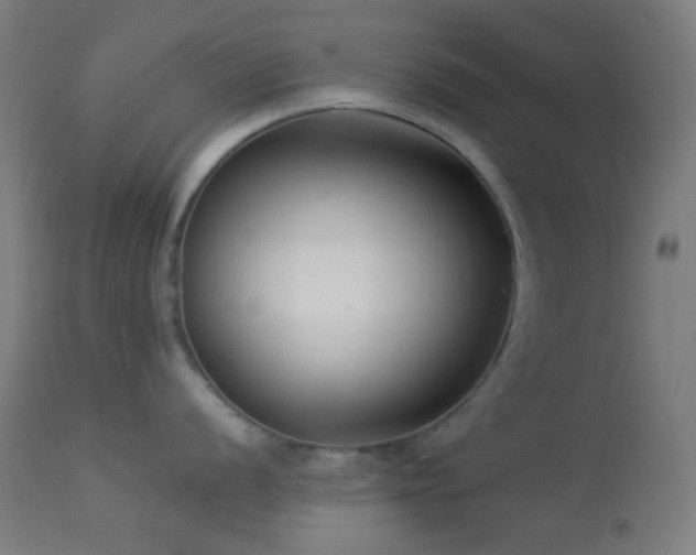 X0000114181056200910081455