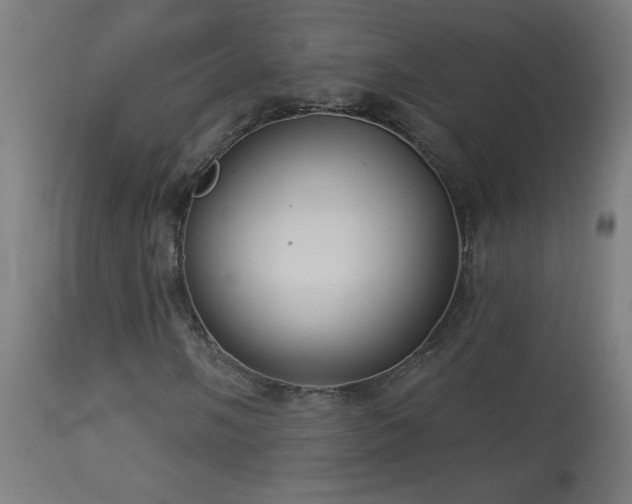 X0000114181058200910081454