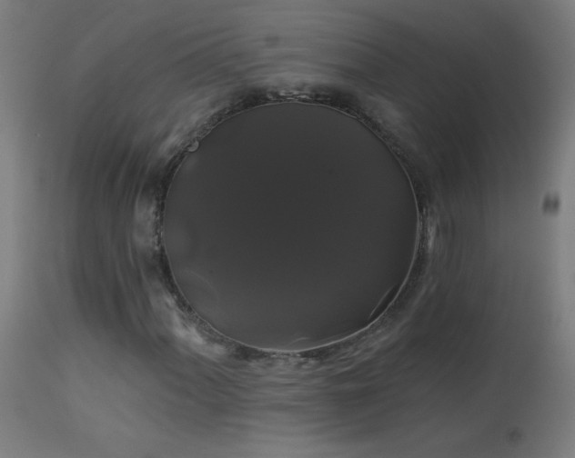 X0000114181060200910081454
