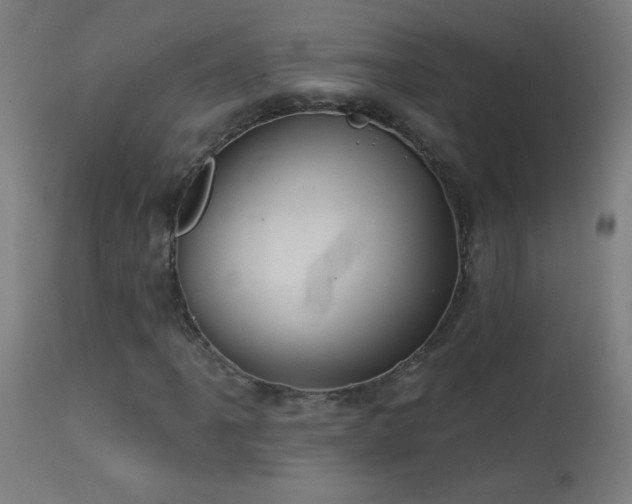X0000114181061200910081454