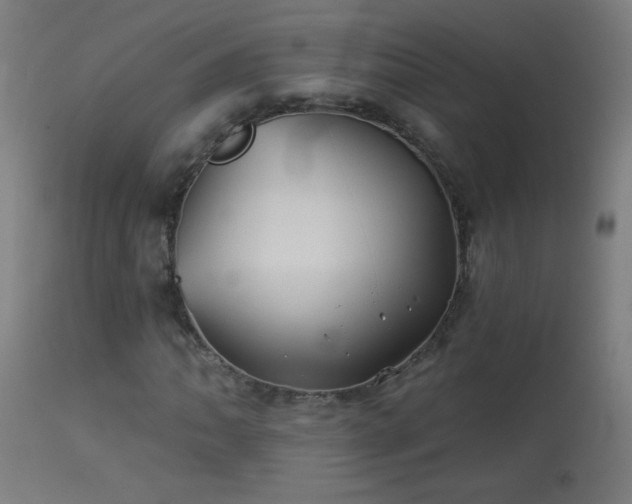 X0000114181062200910081454