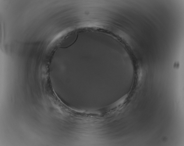 X0000114181064200910081454