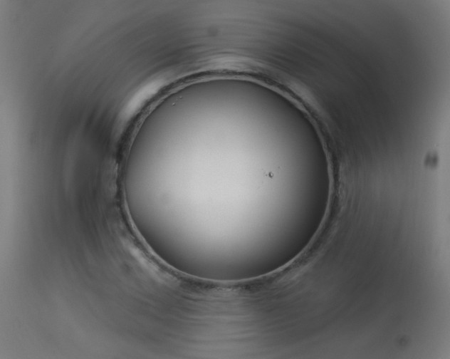 X0000114181067200910081454